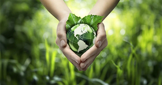 Environment